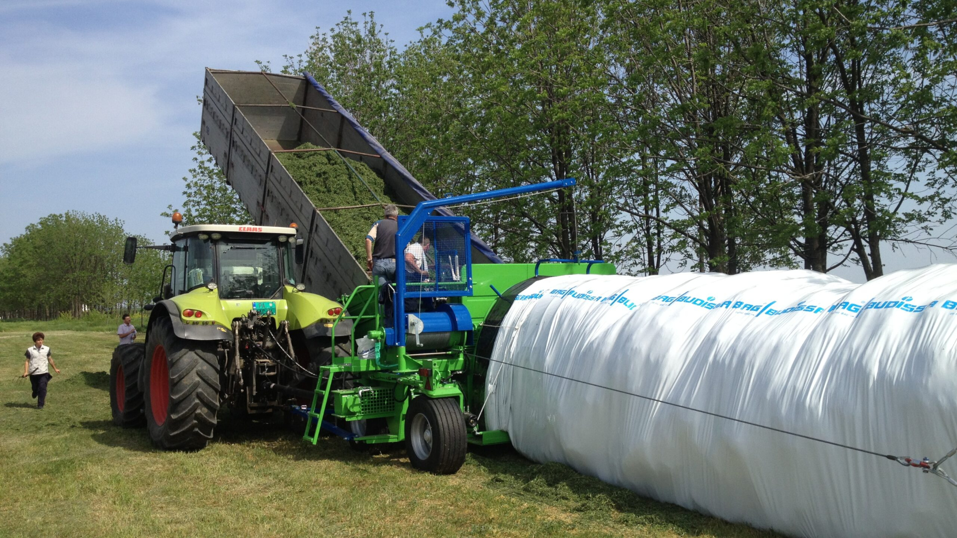 Закваски вносятся при загрузке траншеи из расчета 100-150 тысяч КОЕ на 1 г массы. Закваски вносятся при загрузке траншеи из расчета 100-150 тысяч КОЕ на 1 г массы.