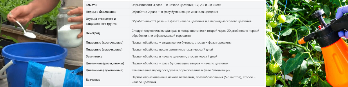 54088_04.jpg