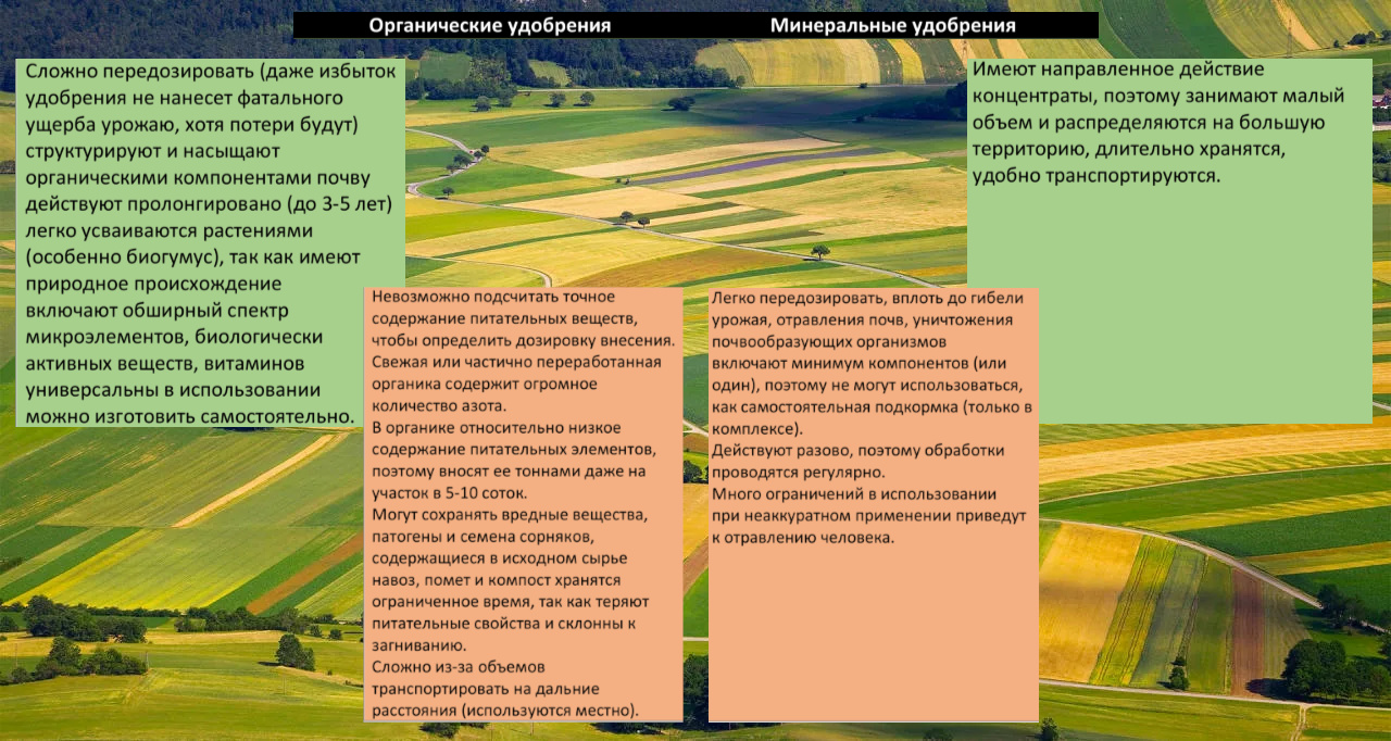 55720_01.jpg 55720_01.jpg